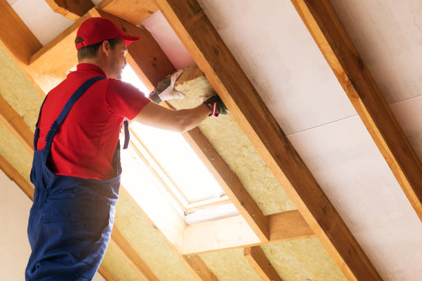 Types of Insulation We Offer in Colonia, NJ